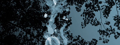 Detalle proyección, de Montse Noguera